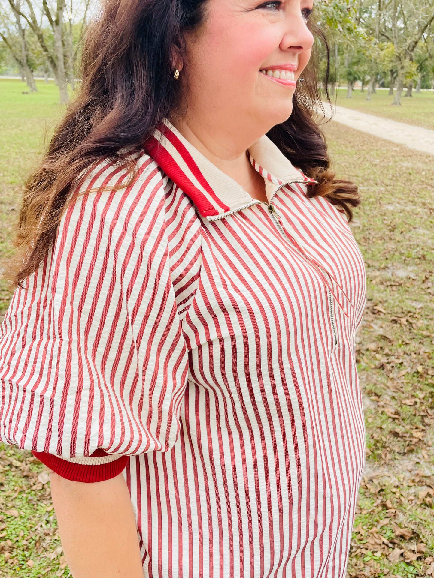 Brick Striped Puff Sleeve Blouse- Plus